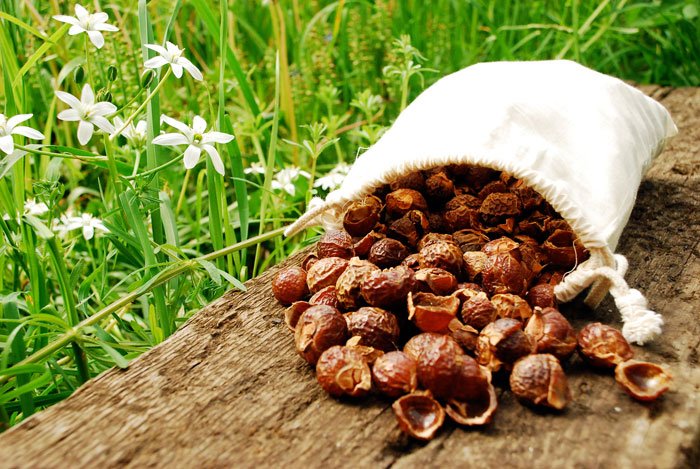 home remedies for dandruff Reetha Or Soap Nuts