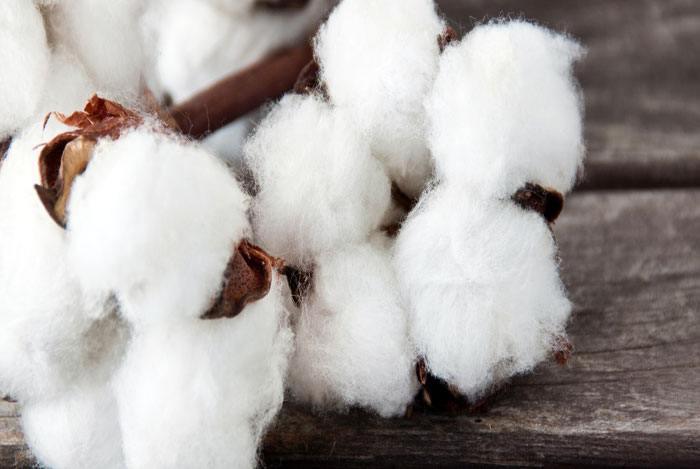 home remedies for toothache Bourbon-Soaked Cotton Ball