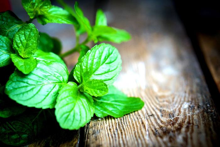 home remedies for toothache Peppermint Leaves