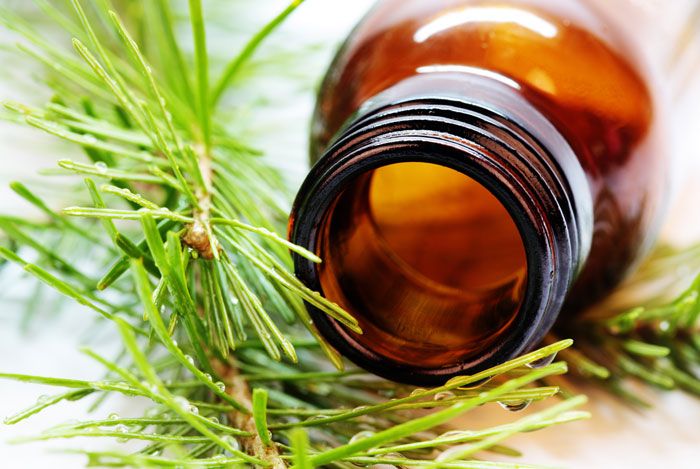 home remedies for toothache tea tree oil
