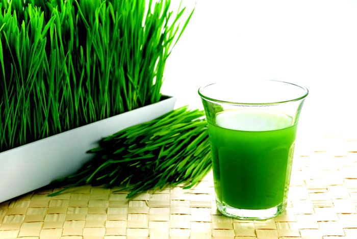 home remedies for toothache Wheatgrass Juice