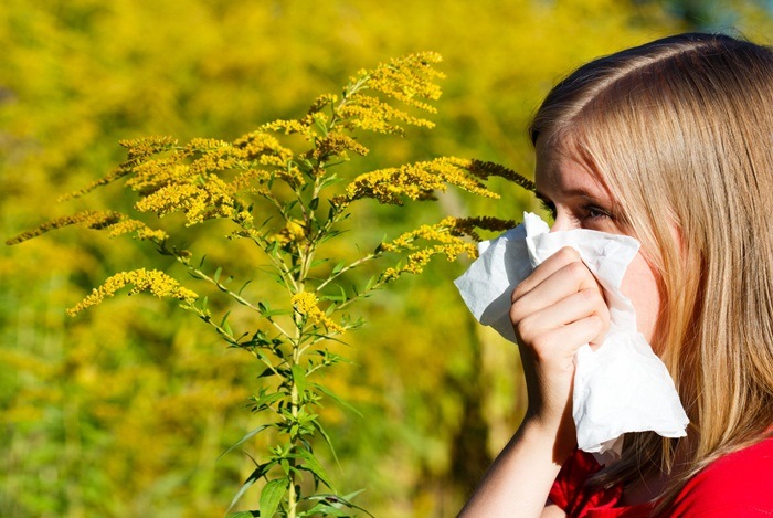 home remedies for sinusitis