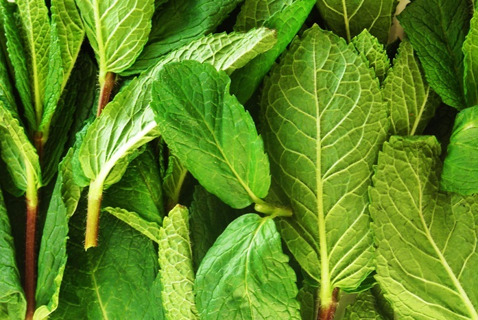 natural acne cures
