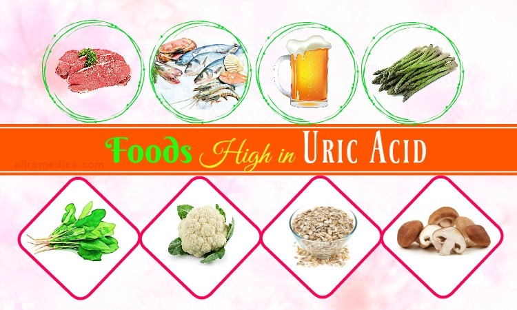 foods high in uric acid