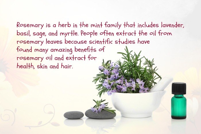 The Benefits of Rosemary for Blonde Hair: A Scientific Perspective - wide 6