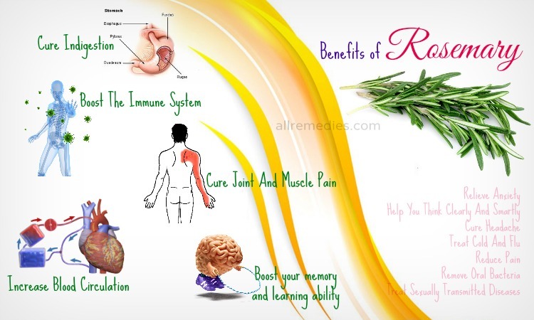 Benefits of rosemary