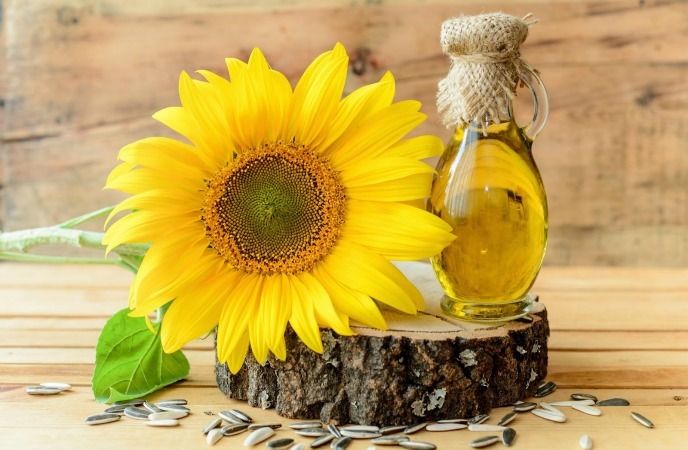 wheat germ oil for skin