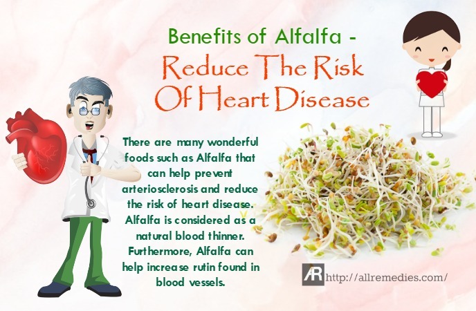 benefits of alfalfa