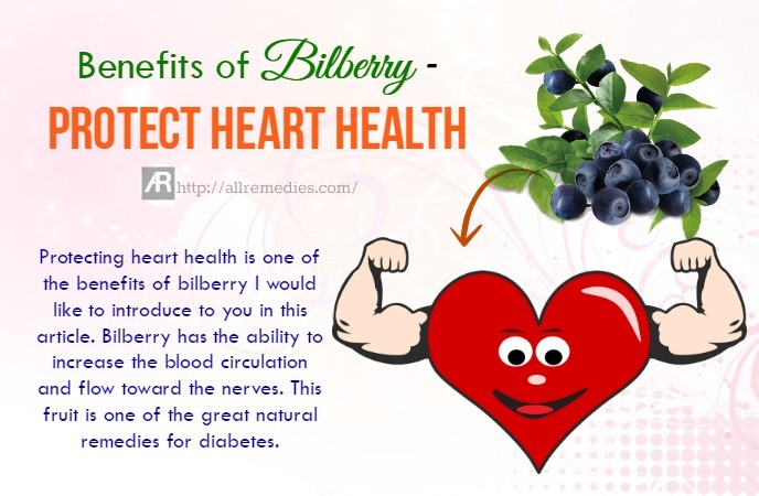 benefits of bilberry