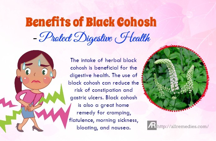 benefits of black cohosh