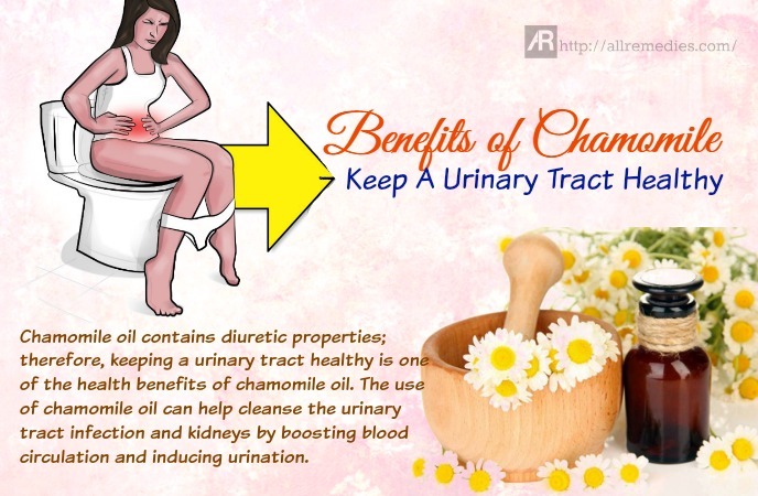 benefits of chamomile