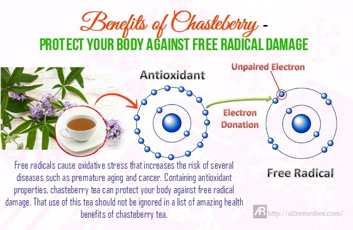 benefits of chasteberry