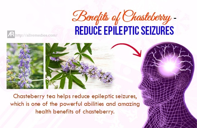 benefits of chasteberry