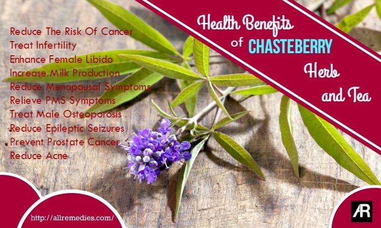 benefits of chasteberry