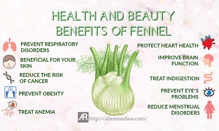 benefits of fennel