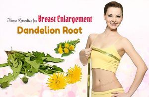 enlargement dandelion