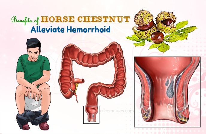 benefits of horse chestnut