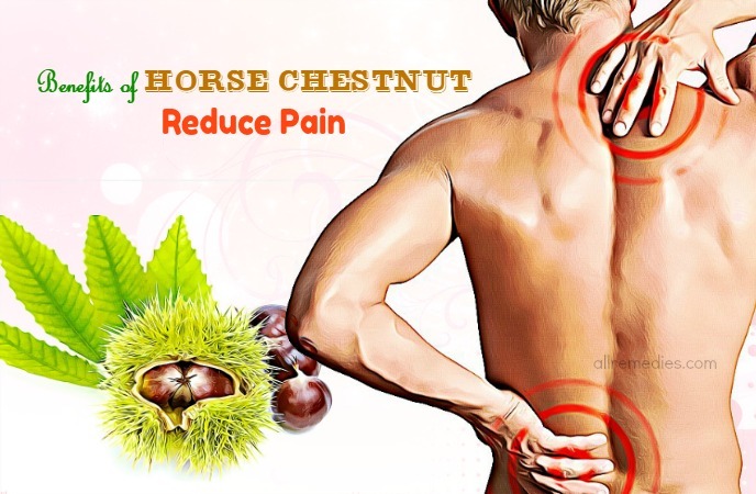 benefits of horse chestnut