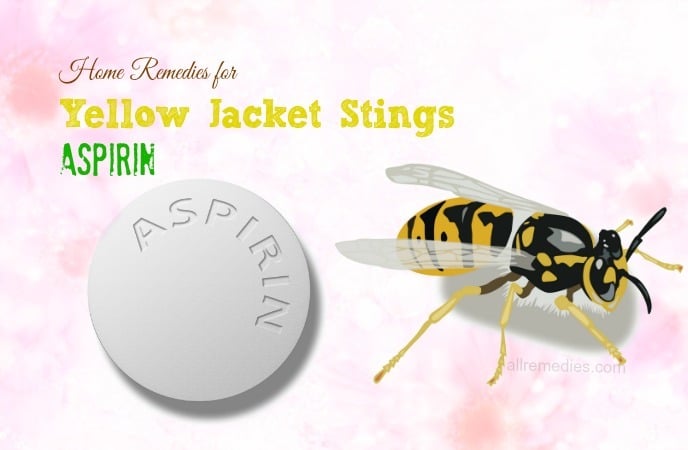 home remedies for yellow jacket stings