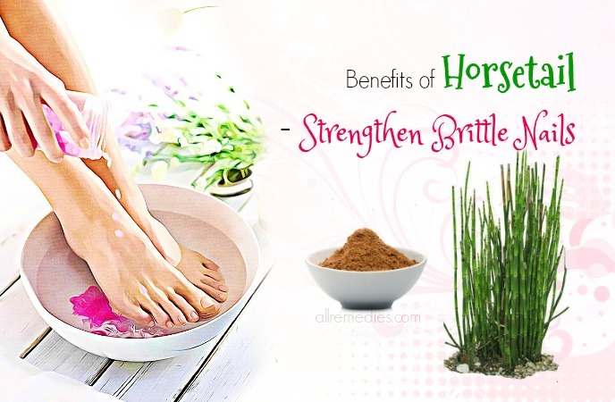 benefits of horsetail