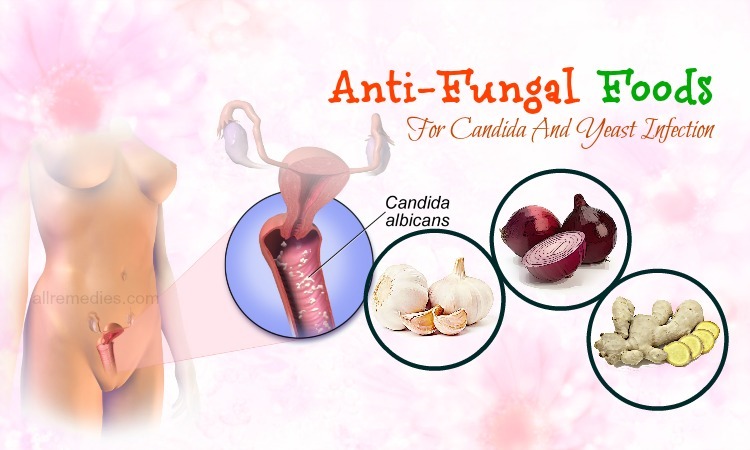 anti-fungal foods