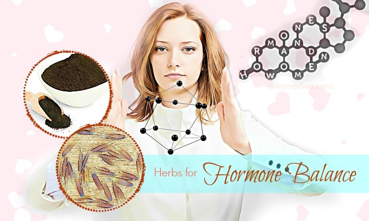 herbs for hormone balance