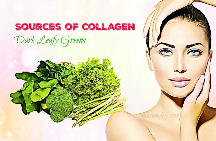 sources of collagen