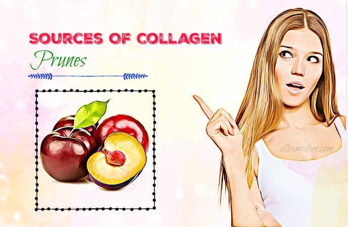 sources of collagen