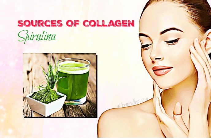 sources of collagen