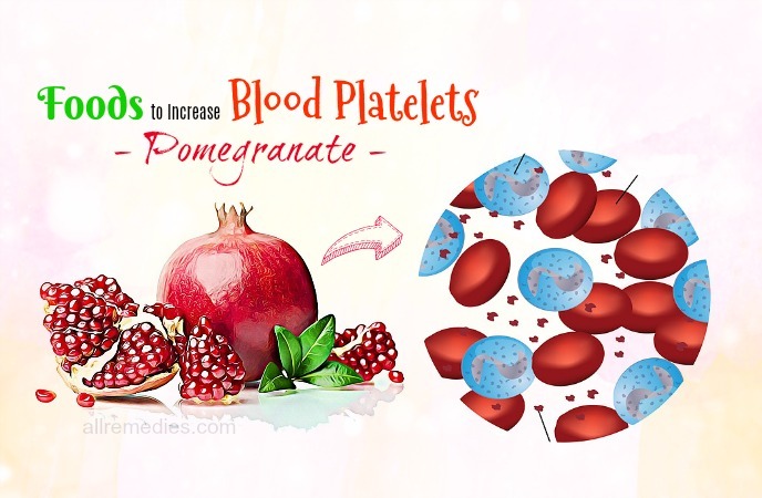 foods to increase blood platelets