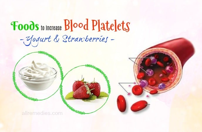 foods to increase blood platelets