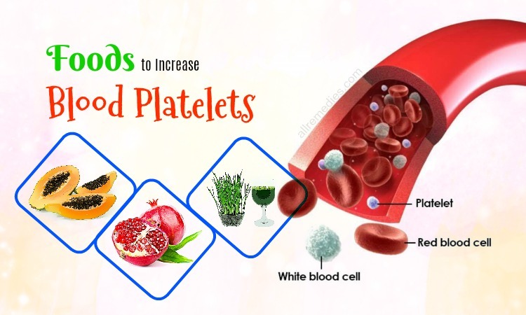 foods to increase blood platelets