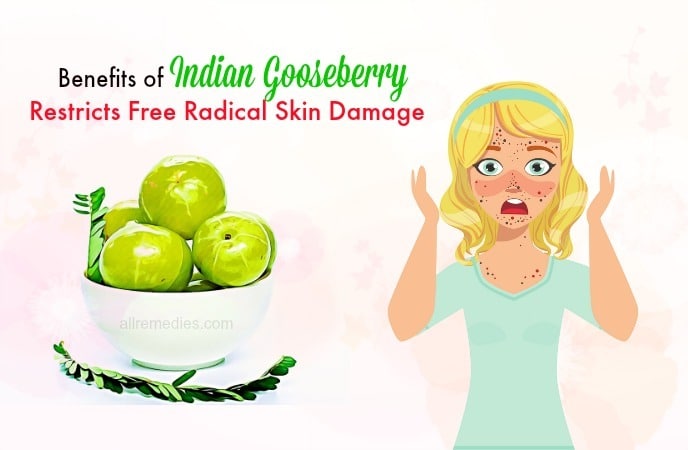 benefits of Indian gooseberry