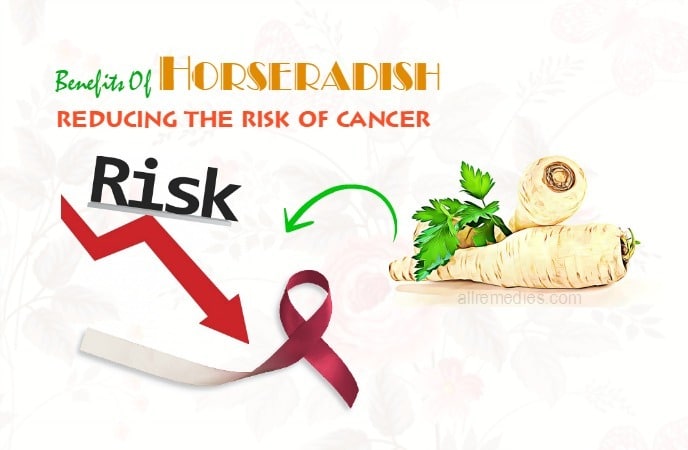 benefits of horseradish