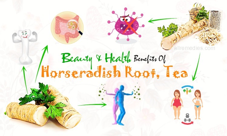 benefits of horseradish