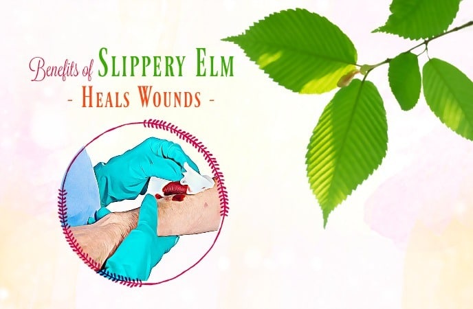 benefits of slippery elm