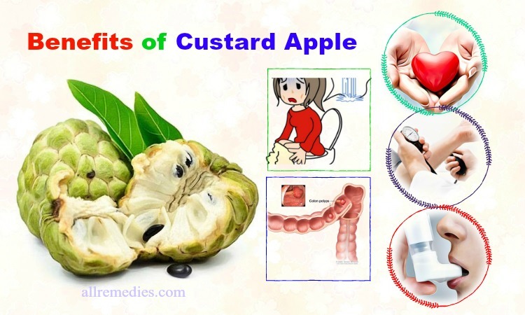 benefits of custard apple