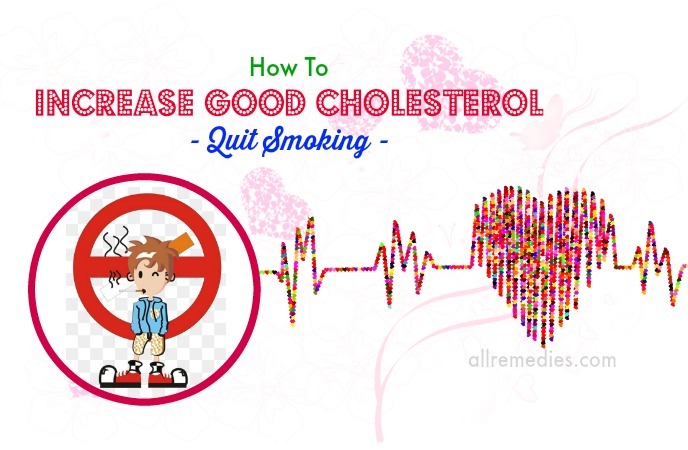 how to increase good cholesterol in body