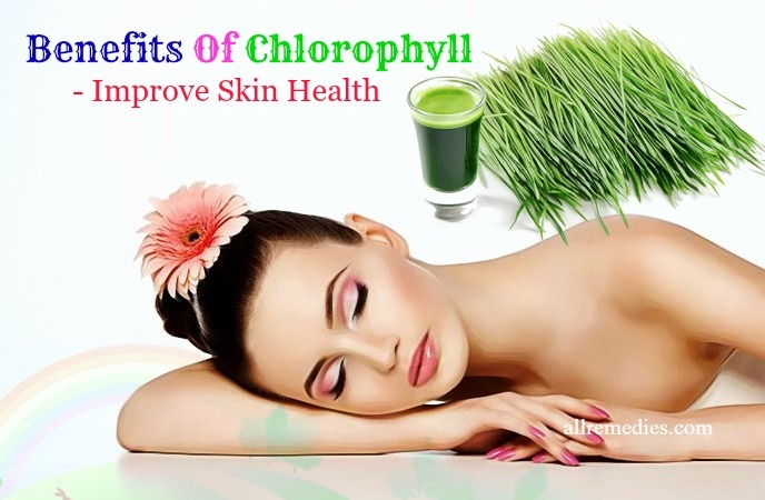 benefits of chlorophyll for skin