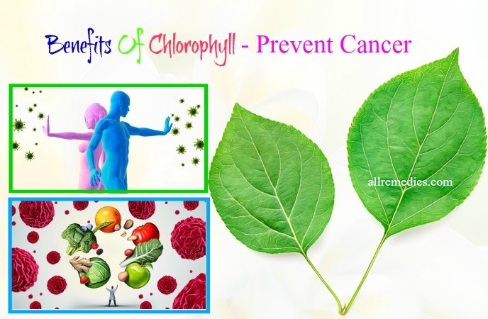 benefits of chlorophyll