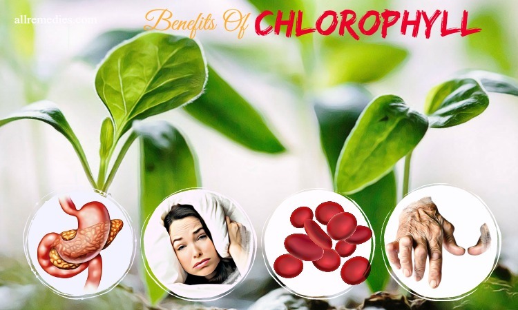 benefits of drinking chlorophyll