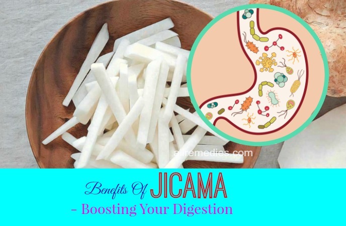 benefits of jicama fruit