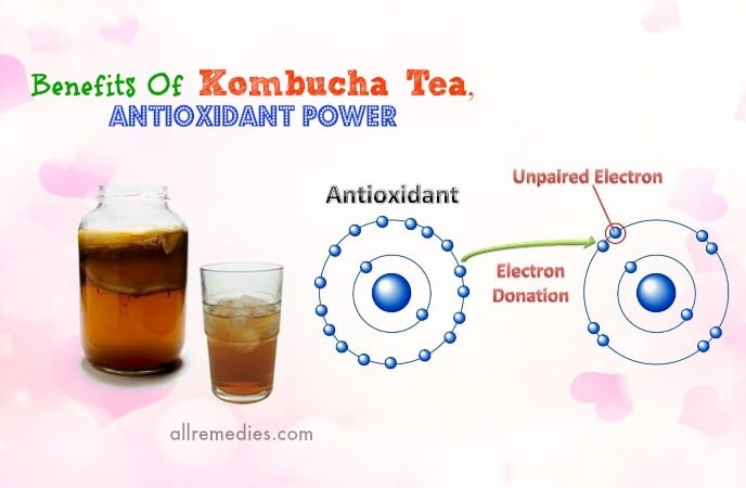 benefits of kombucha tea