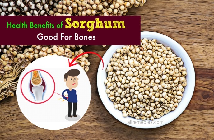 benefits of sorghum grain