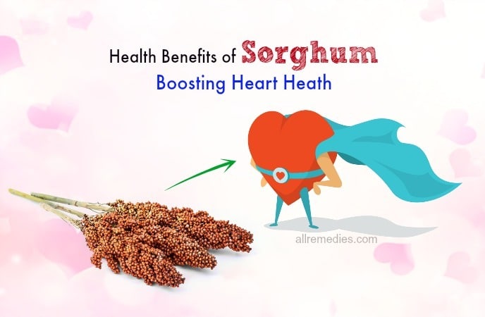 benefits of sorghum meal