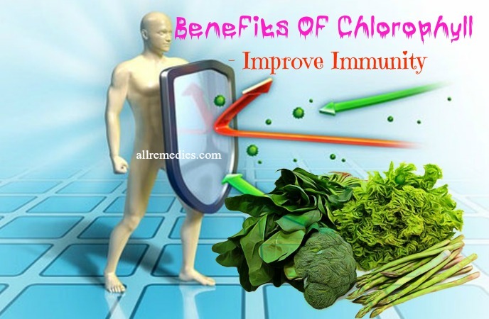 health benefits of chlorophyll