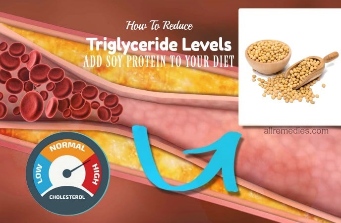 how to reduce triglyceride levels fast