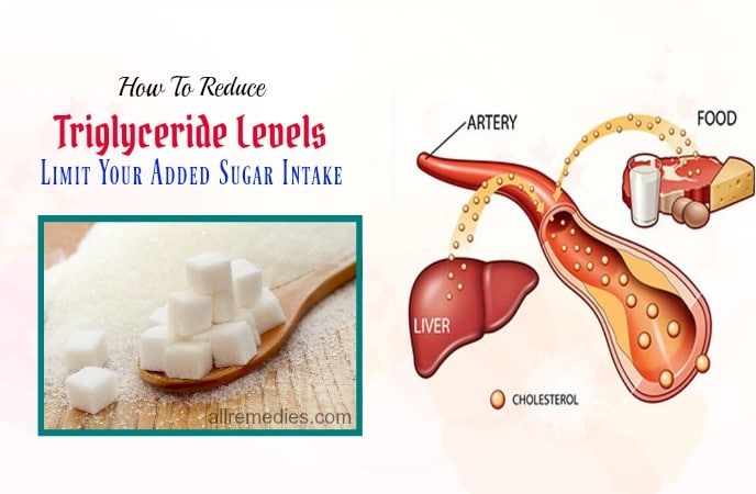 how to reduce triglyceride levels with dieting