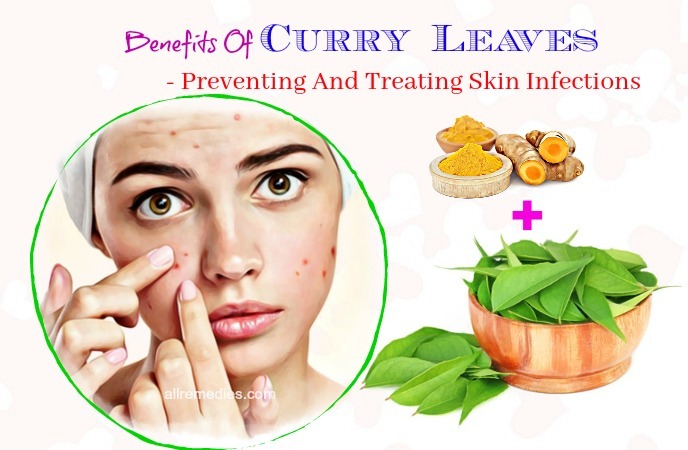 benefits of curry leaves for hair