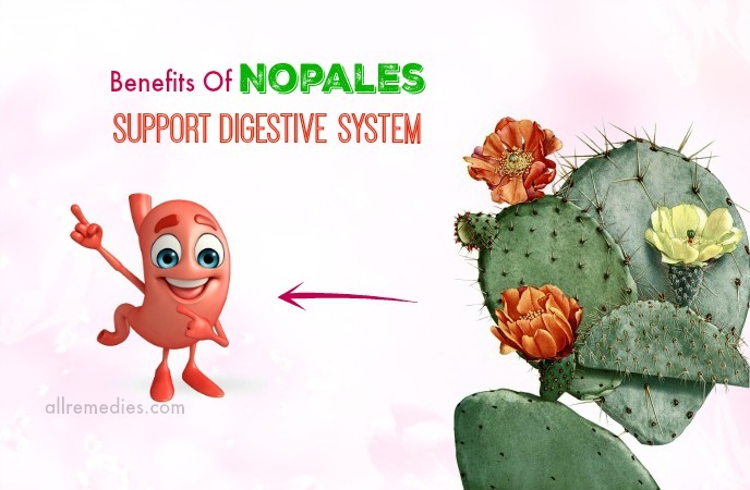 benefits of nopales juice